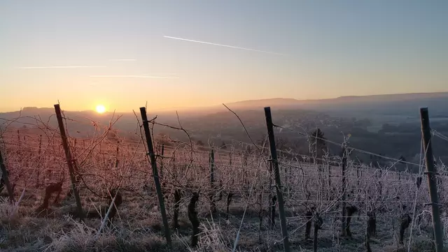 Frostiger Sonnenaufgang