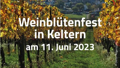 Weinblütenfest 2023